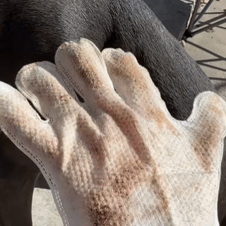 Tvätt Handsken-För hund och katt